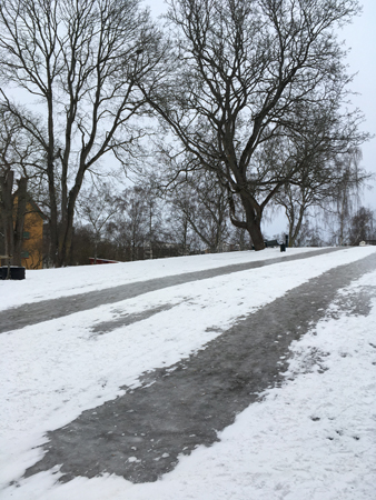 Isbana i Höganäsparken