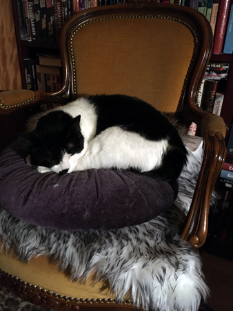 Mini i f d hallstolen