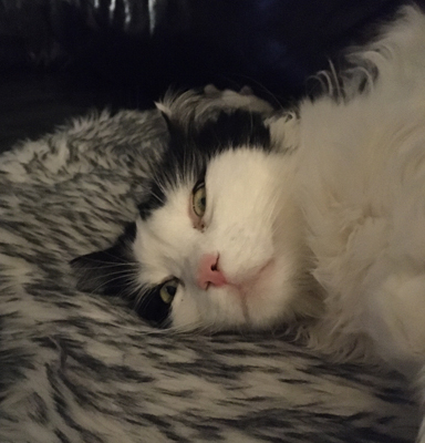 Lucifer sover med öppna ögon