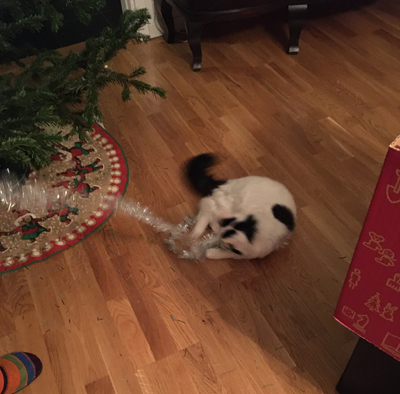 Citrus hjälper till med glittret