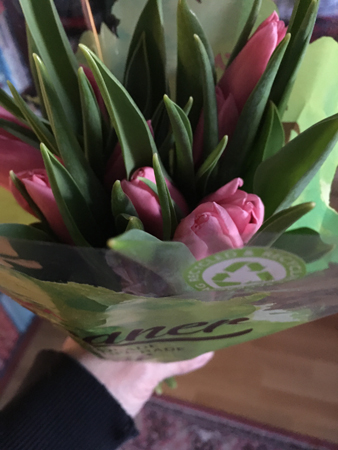 Tulpaner från IM