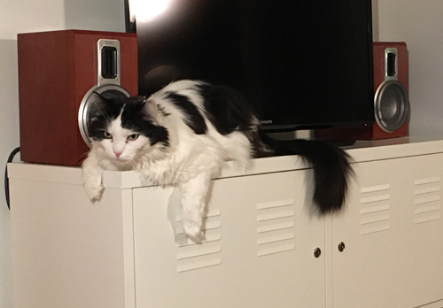 Lucifer på TVbänken