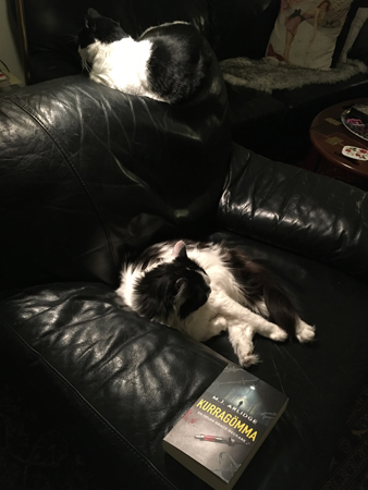 Mor och son Mini o Lucifer och boken Kurragömma