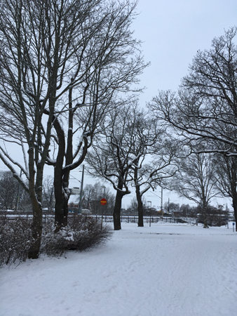 Mycket snö i allén