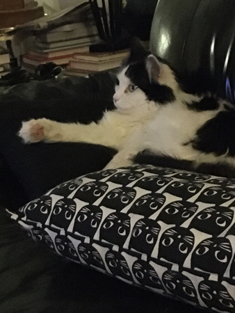 Lucifer tittar på TV Lucifer tittar på TV