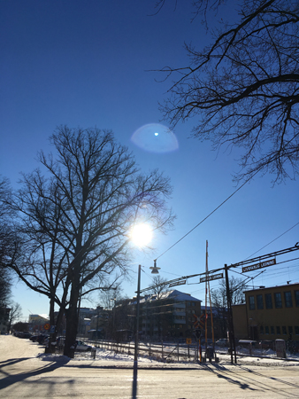 Sol vid järnvägsövergången