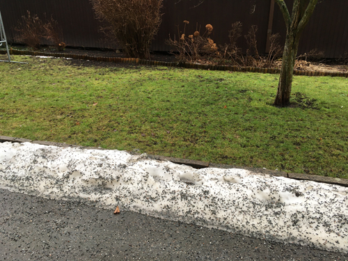 Gräsmatta och snökant