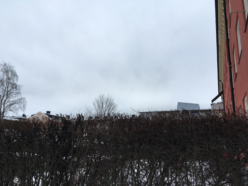 Häck ljusgrå himmel husgavel