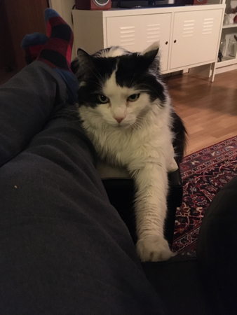 Lucifer ännu närmare ostbågarna