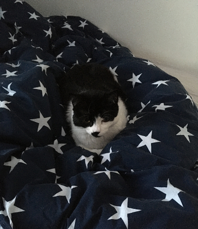 Mini på påslakan med stjärnor