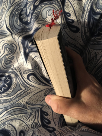 Halvvägs i boken Ett hem att dö för