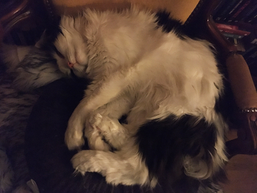 Lucifer sover i f d hallstolen