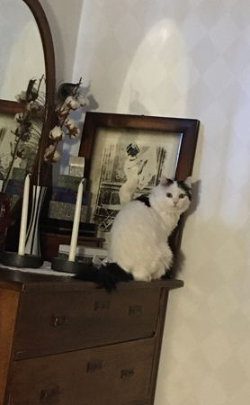 Citrus på Annas spegelbyrå i sovrummet