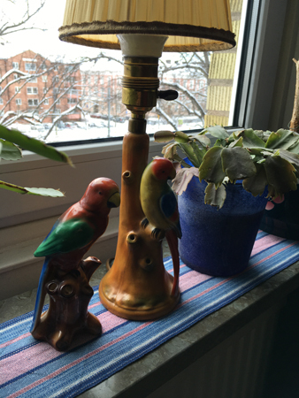 Papegoja vas vid papegojlampan