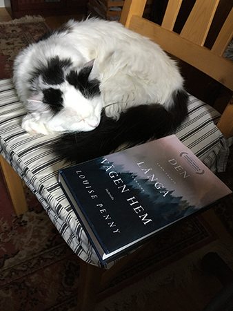 Citrus och boken Den långa vägen hem Citrus och boken Den långa vägen hem