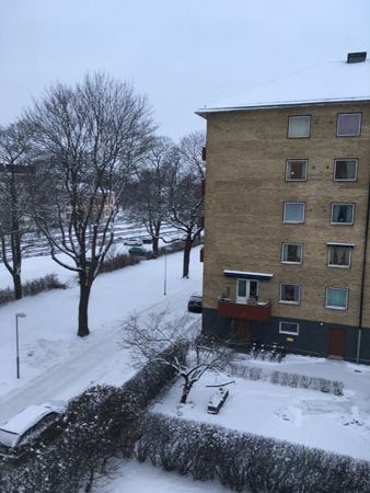 Vinter utanför Bokrumsfönstret