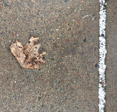 Brunt löv på trottoaren