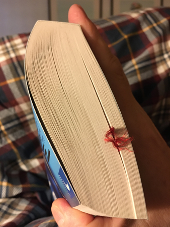 Ca 80 sidor kvar i boken Sektens barn