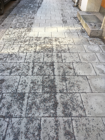 Halvt sopad trottoar