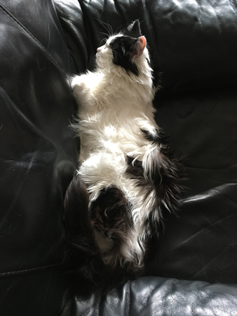 Lucifer i Annas fåtölj