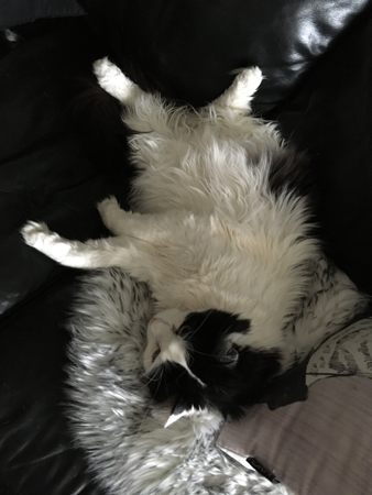 Lucifer manspreadar i soffan