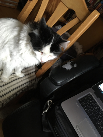 Lucifer tittar på min dator