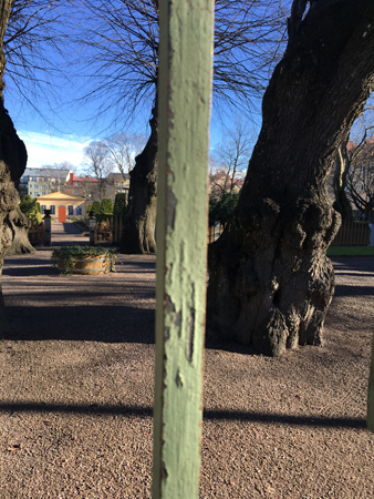 En titt på Linnégträgården genom galler