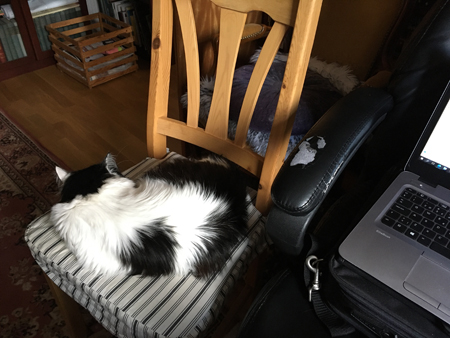 Lucifer har vänt ryggen till min dator