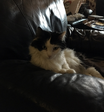 Lucifer i Annas fåtölj