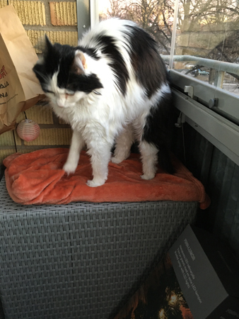 Lucifer skjuter rygg på balkongen