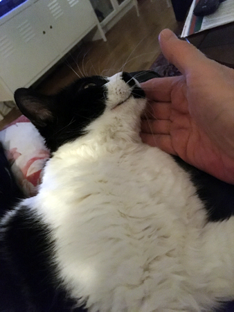 Mini med huvudet i min hand