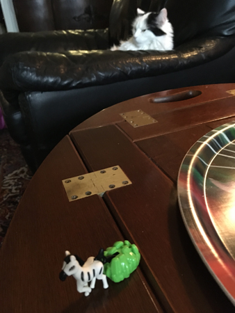 Citrus och kindereggleksak Zebra