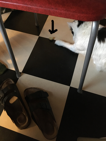 Tonfiskpasta med tomater