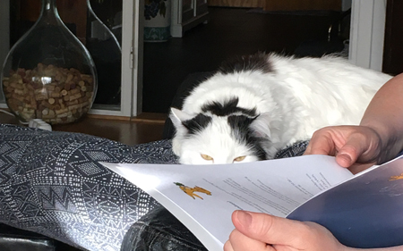 Citrus kisar över kanten på Annas papper