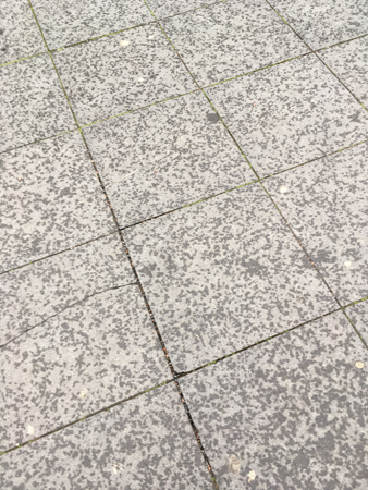 Regndroppar på plattor