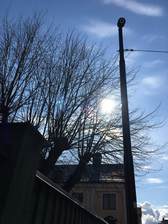 Utanför Carl von Linnés hem på Svartbäcksgatan