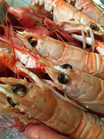 Havskräftor och räkor