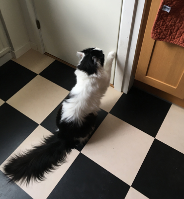 Lucifer knackar på skafferidörren