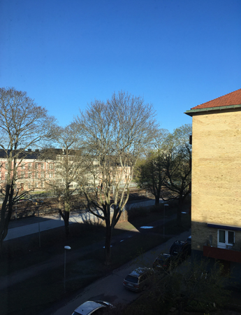 Utsikt från fönstret i Bokrummet