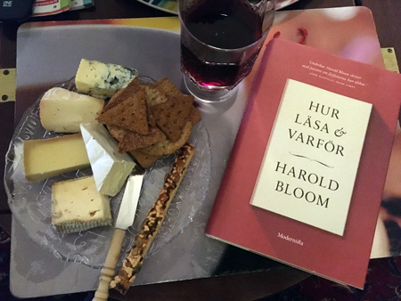 Ostassiett boken Hur läsa o varför ett glas Capo di Terra