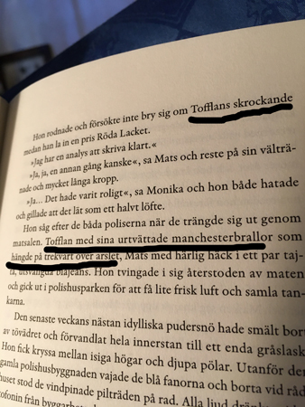 Tofflan skrockar och har urtvättade manchesterbrallor i boken Skymniningstid