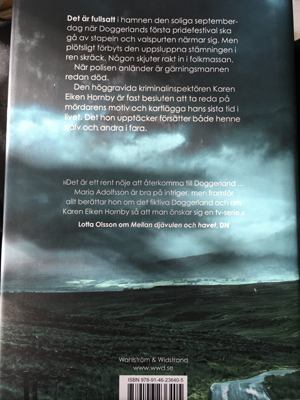 Baksidestext Maria Adolfssons Spring eller dö