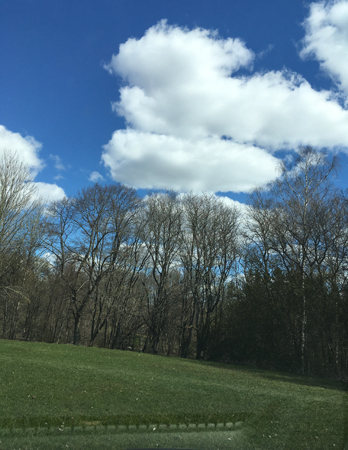 Vita moln träd och gräs