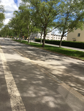 Asfalt och grönt på St Olofsgatan
