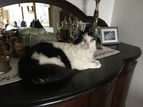 Lucifer på ekbyffén