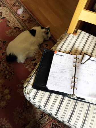 Citrus på golvet vid min hemarbetsplats