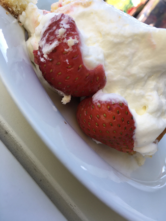 Jordgubbar och grädde på tårta i Slottsträdgården