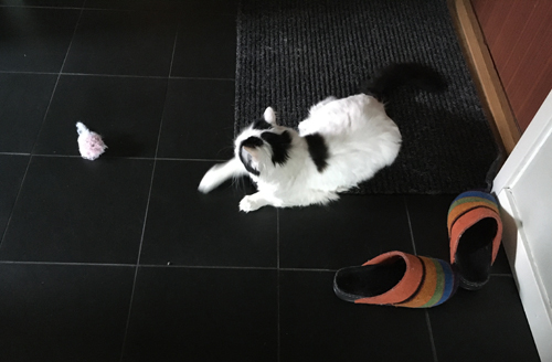 Citrus och leksak i hallen