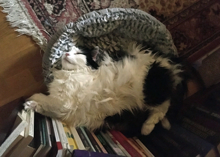 Lucifer i lilla korgen