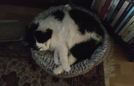 Lucifer i lilla korgen